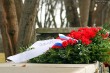 В Таллине возложили цветы к памятнику Воину-освободителю_11