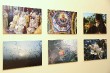 В Центре русской культуры открылась фотовыставка Лилии Керро «СВЕТ МИРА»