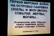 конференция «Великая война: забытый подвиг России»_16