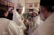 В Лазареву субботу глава Нарвской епархии совершил Литургию на Архиерейском подворье в Нарва-Йыэсуу_35