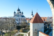 «Роза Ветров» - выставка двух художников в башне музее Kiek in de Kök