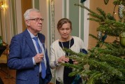 Новогодний концерт «Музыка дворца» в Кадриорге