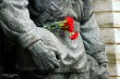 В Таллине возложили цветы к памятнику Воину-освободителю_26