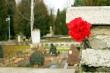 В Таллине возложили цветы к памятнику Воину-освободителю_46