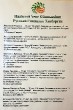 Школьники таллинских школ представили выставку живописи «На пути к мастерству»_12