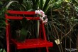 Выставка орхидей в Ботаническом саду_16