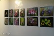 Выставка орхидей в Ботаническом саду_48