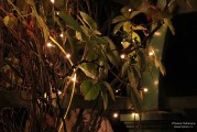 2016_09_15_21