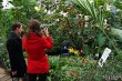 Выставка орхидей в Ботаническом саду