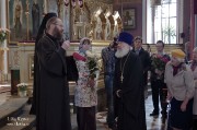 Празднование Дня семьи, любви и верности в Александро-Невском соборе Таллина 1
