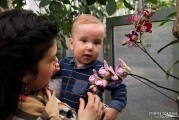 Любоваться красотами наших болот еще рано, но орхидеи уже зацвели