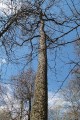Петровское - Михайловское