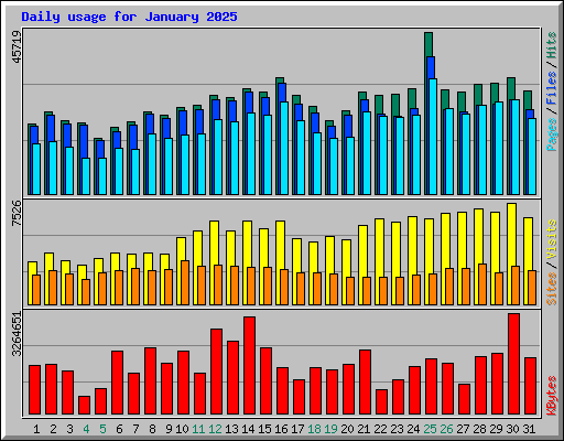 Daily usage for January 2025
