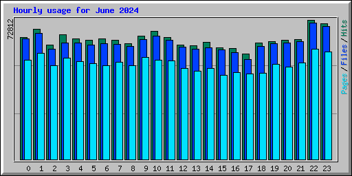 Hourly usage for June 2024
