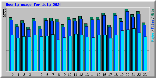 Hourly usage for July 2024