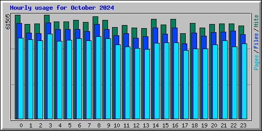Hourly usage for October 2024
