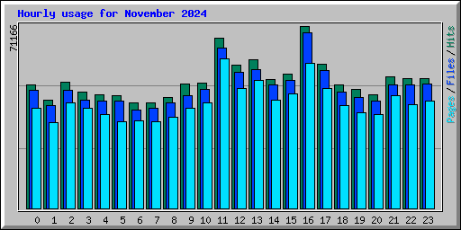 Hourly usage for November 2024