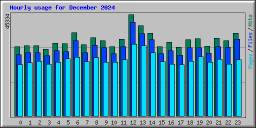 Hourly usage for December 2024