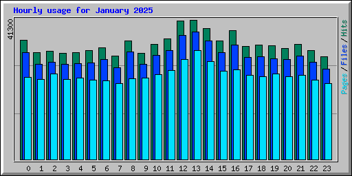 Hourly usage for January 2025