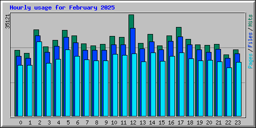 Hourly usage for February 2025