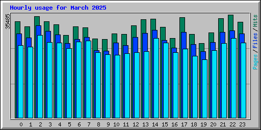 Hourly usage for March 2025
