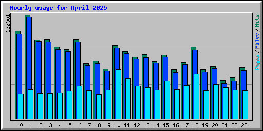 Hourly usage for April 2025